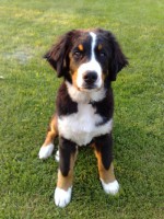 /album/fotogalerie/a3-jpg/