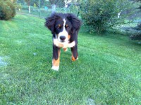 /album/fotogalerie/a4-jpg/