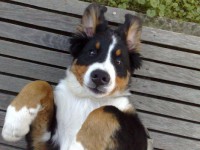 /album/fotogalerie/a5-jpg/