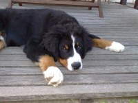 /album/fotogalerie/a7-jpg/